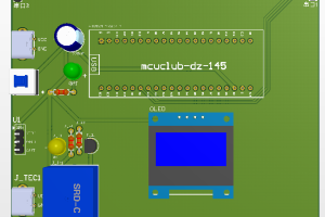 【mcuclub-dz-145】基于单片机的水位监测系统设计与实现【实物设计】